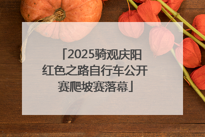 2025骑观庆阳红色之路自行车公开赛爬坡赛落幕
