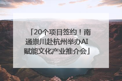 20个项目签约！南通崇川赴杭州举办AI赋能文化产业推介会