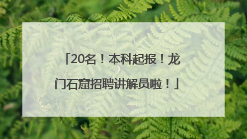 20名！本科起报！龙门石窟招聘讲解员啦！