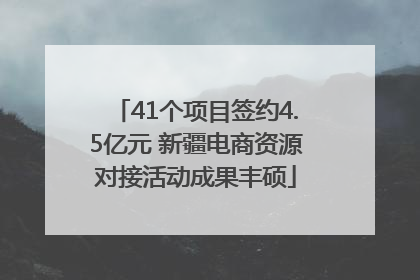 41个项目签约4.5亿元 新疆电商资源对接活动成果丰硕