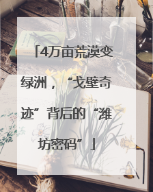 4万亩荒漠变绿洲，“戈壁奇迹”背后的“潍坊密码”
