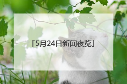 5月24日新闻夜览