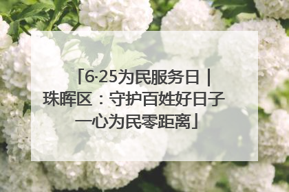 6·25为民服务日｜珠晖区：守护百姓好日子 一心为民零距离