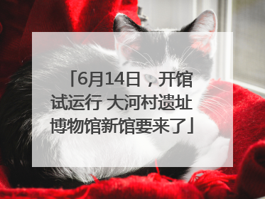 6月14日，开馆试运行 大河村遗址博物馆新馆要来了