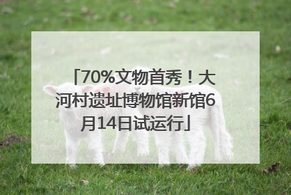 70%文物首秀！大河村遗址博物馆新馆6月14日试运行