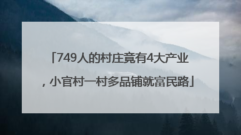 749人的村庄竟有4大产业，小官村一村多品铺就富民路