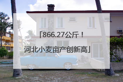 866.27公斤！河北小麦亩产创新高