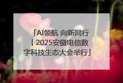 AI领航 向新同行丨2025安徽电信数字科技生态大会举行