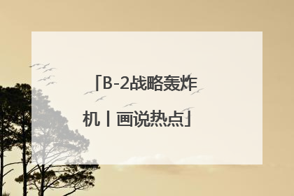 B-2战略轰炸机丨画说热点