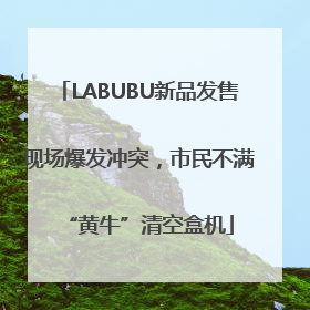 LABUBU新品发售现场爆发冲突，市民不满“黄牛”清空盒机