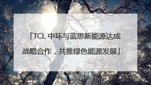 TCL 中环与蓝思新能源达成战略合作，共推绿色能源发展