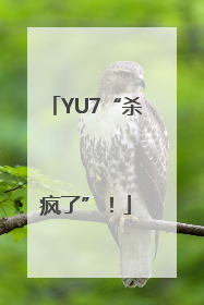 YU7“杀疯了”！